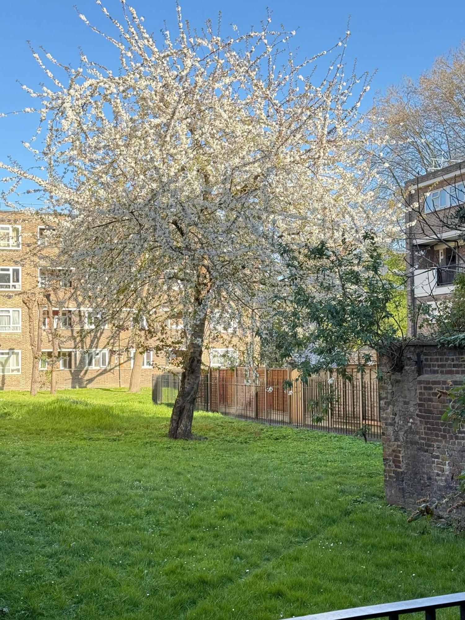 Shoreditch Apartments By Dc London Rooms Phòng bức ảnh